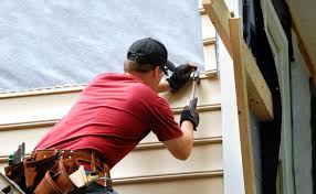 Best Insulated Siding Installation  in Century, FL